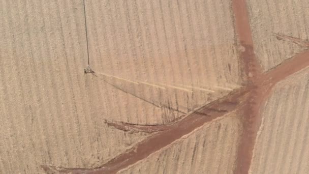 Soil Treatment Sugarcane Plantation Vinhoto Nutritive Substance Aerial View — Wideo stockowe