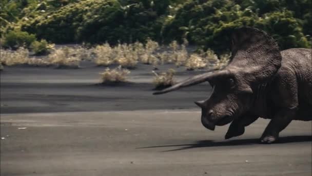 Triceratops Τρέχει Ηφαιστειακή Πεδιάδα — Αρχείο Βίντεο