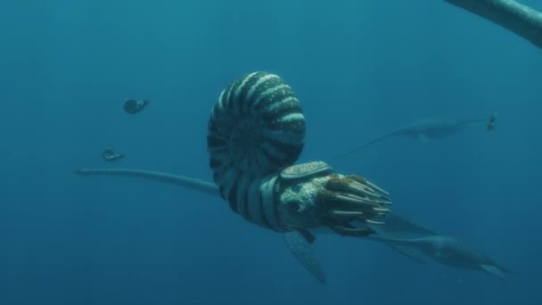 Plesiosaurs Migrate Ocean Ammonites — Stok video