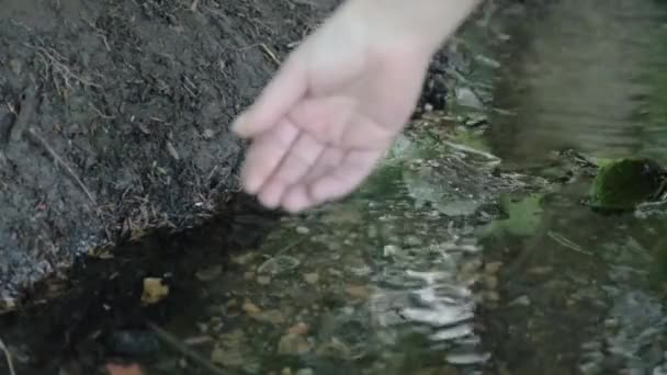 Dipping Hand Natural Clear Water Stream — 图库视频影像