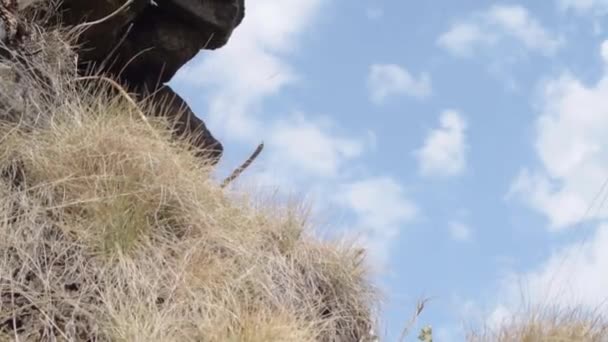 Craggy Rocks Moors Blue Cloudy Sky Tilting Shot — Vídeo de Stock