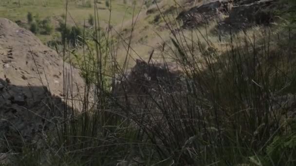 Yorkshire Hills Rocks Bracken Wide Landscape Tilting Shot — Stock video