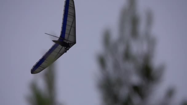 Freedom Flight Nightfall — Stockvideo