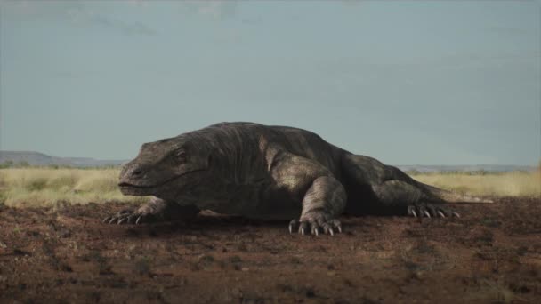 Prehistoric Megalania Roars Ancient Australian Plain — Vídeo de stock