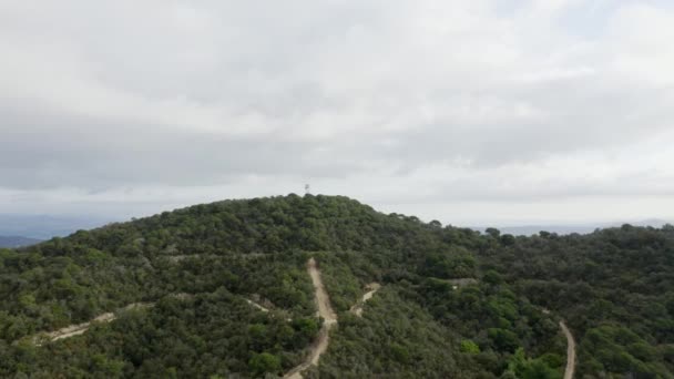 Flight Green Forest Dirt Trails Top Hill Reveal Picturesque Expansive — Stockvideo