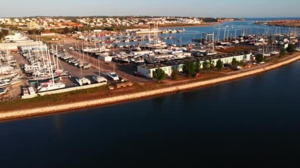 Afternoon Sunlight Big Harbor Filled Sailboats Golden Hour Aerial — Vídeos de Stock
