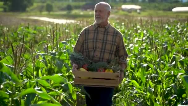 Wide Angle Farmer Holding Box Organic Vegetables Look Away Camera — 图库视频影像