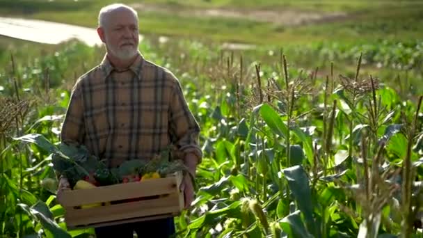 Крупным Планом Фермер Держит Коробку Органическими Овощами Смотреть Сторону Камеры — стоковое видео