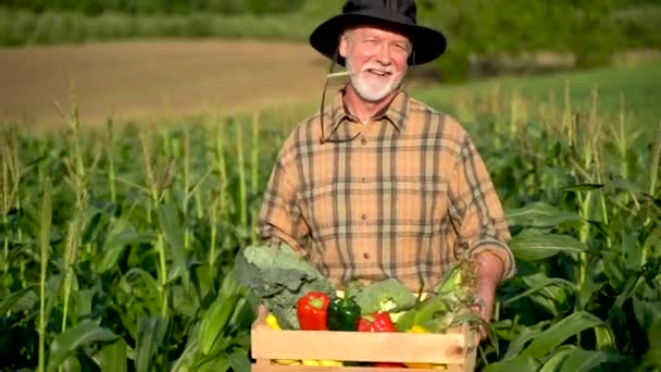 Close Farmer Carrying Box Organic Vegetables Look Camera Sunlight Agriculture — 图库视频影像