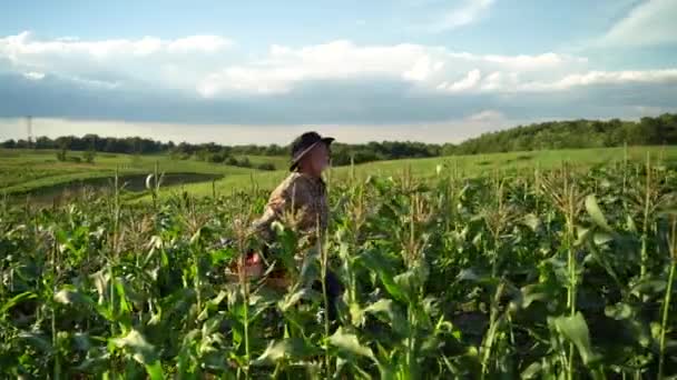 Slow Motion Side View Farmer Carrying Crate Freshly Picked Vegetables — Stock video