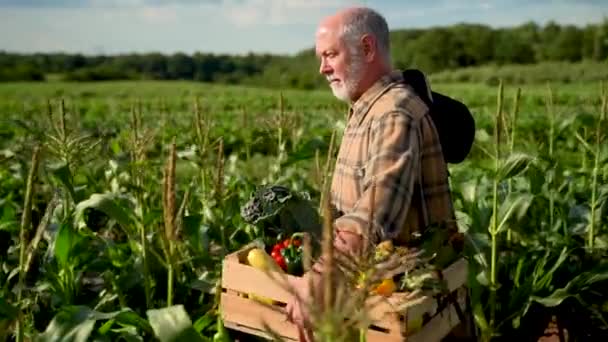 Slow Motion Close Side Shot Farmer Holding Box Organic Vegetables — 图库视频影像