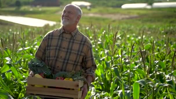 Close Farmer Holding Box Organic Vegetables Look Sky Sunlight Agriculture — Stok video