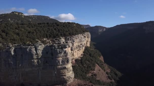 Aerial Steep Tree Covered Cliffs Panoramic Views Zooming Shot — ストック動画