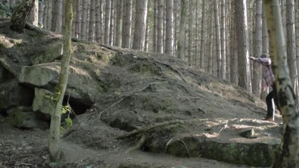 Woman Exploring Pine Forest Landscape Wide Shot — Vídeo de Stock