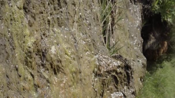 Rock Formation Rain Medium Panning — Stock Video