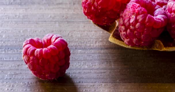 Raspberry Fruit Close Macro Shot — Video