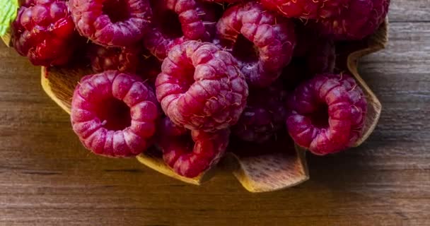 Raspberry Fruit Close Macro Shot — Video