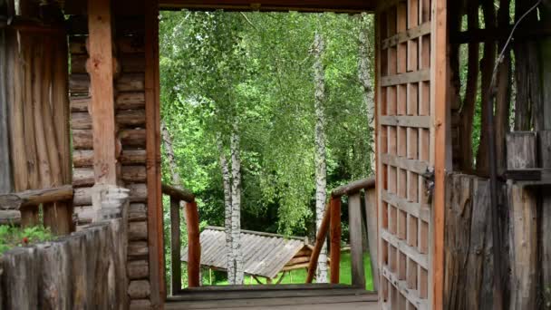 Wood Cabin Door Open Reveal Natural Mountain Green Tree Landscape — Stock videók