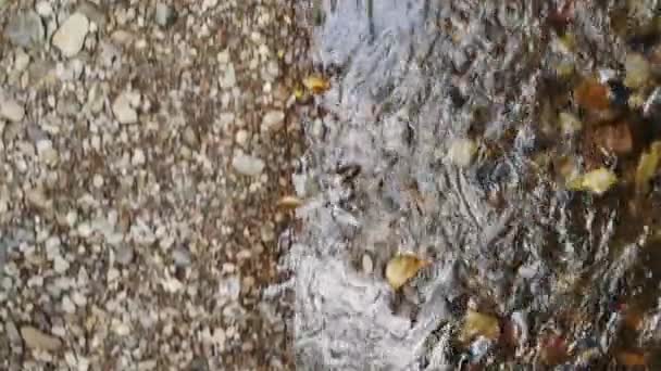 River Rocks Shoreline Water Running Drone Aerial Topdown — Stockvideo