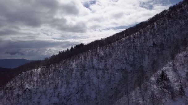 Scenic Aerial View Mountainside Trees Snow Covered Ground Cloudy Blue — Stock video