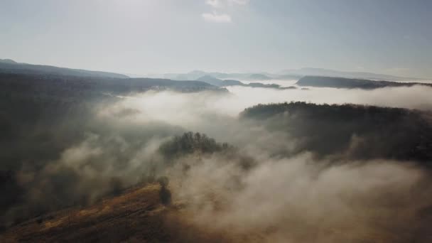 Aerial View Vast Land Golden Color Enveloped Fog Zooming Out — Stock Video