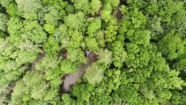 Chattahoochee National Forest Campground River Drone Aerial Topdown — Wideo stockowe