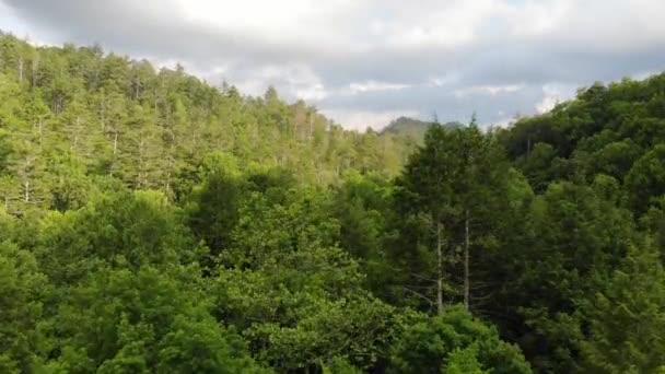 Mountain Forest Horizon Reveal Ascending Aerial Drone Georgia Chattahoochee National — Stockvideo
