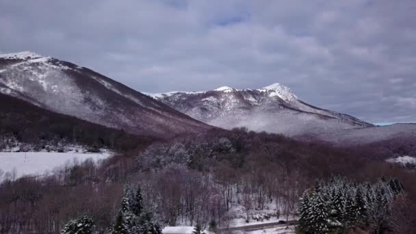 Majestic Winter Wonderland Flight Snow Covered Evergreen Trees Dormant Forest — Stock Video