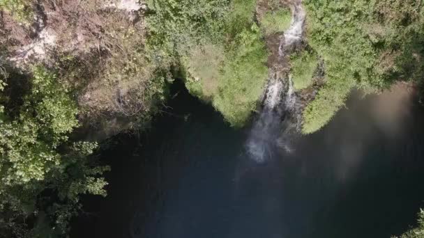 Aerial View Hidden Waterfall Lagoon Surrounded Foliage — 비디오