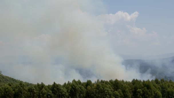 Bushfire Smoke Forest Hill Mountains Full Frame Slow Motion — Vídeos de Stock
