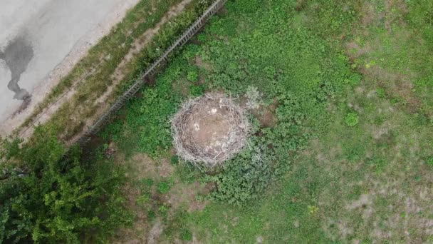 Aerial Birds Eye View Birds Nest Next Road — Vídeo de stock