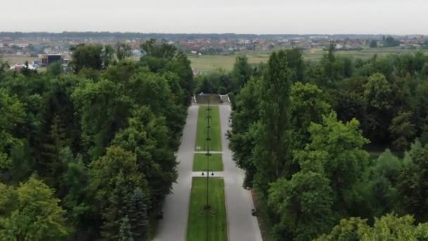 Aerial View Sidewalk Going Park Surrounded Trees Leading Packed Field — Vídeo de Stock