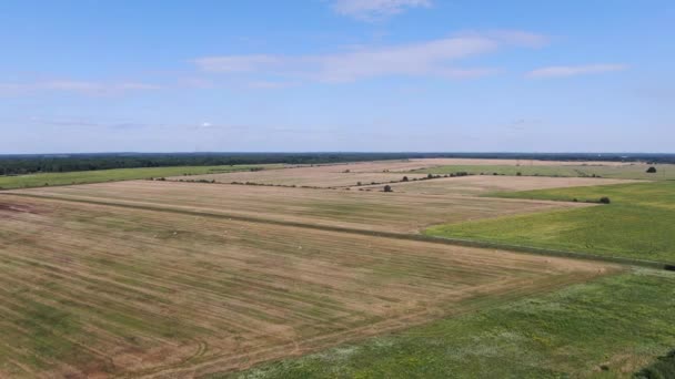 Aerial View Farm Ukraine Bright Day — Stockvideo