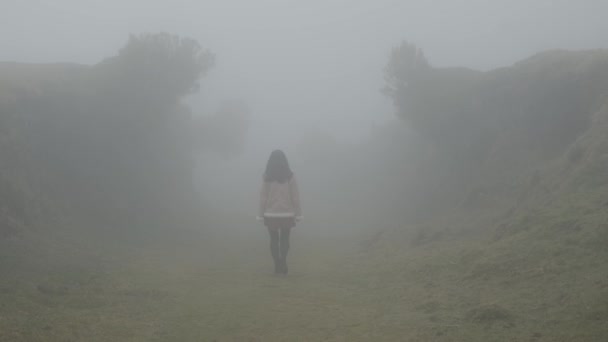 Woman Walking Laurel Forest Disappears Fog Madeira Island — Vídeo de Stock