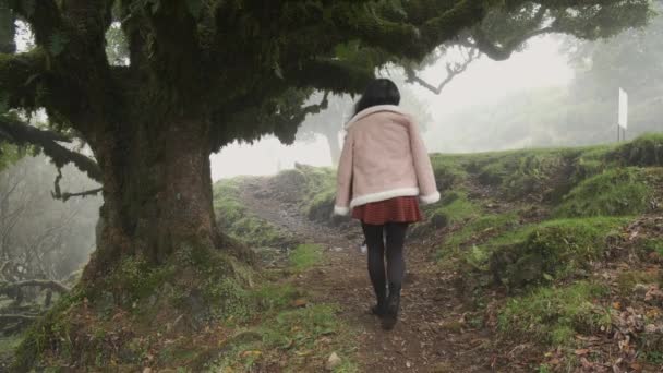 Von Hinten Erschossen Frau Erkundet Nebeligen Lorbeerwald Auf Madeira — Stockvideo