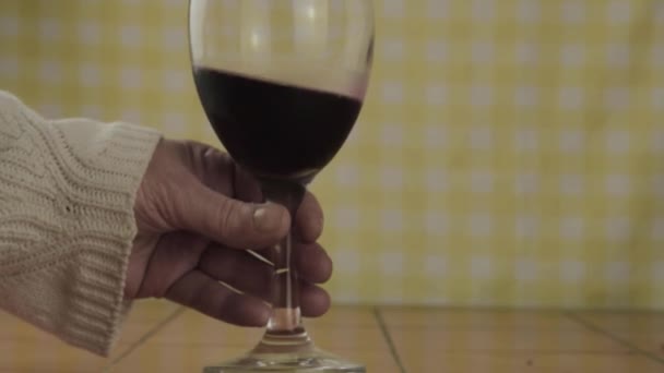 Hand Holding Glas Van Rode Wijn Medium Shot — Stockvideo
