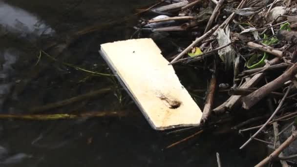 Plastikowe Śmieci River Stour Niedaleko Stourbridge West Midlands Zjednoczone Królestwo — Wideo stockowe