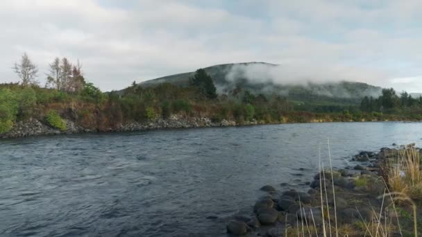 Wild River Misty Forest Mountain Background Medium Pan — Stock video