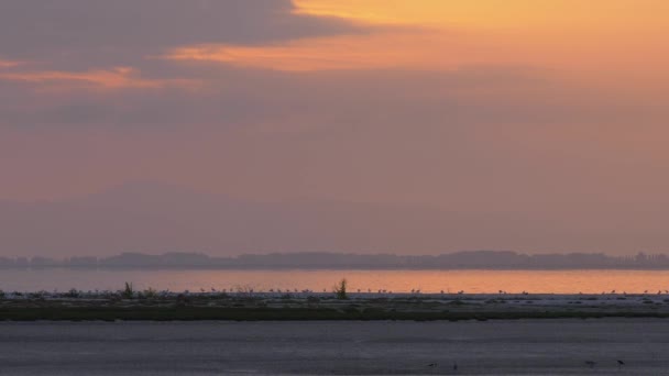 Empty Wetland Horizon Orange Blue Sky Sunset Long Shot — 图库视频影像