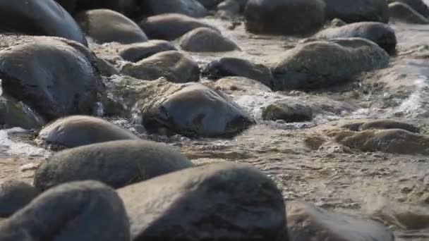 River Current Flow Rocks Close — Stockvideo