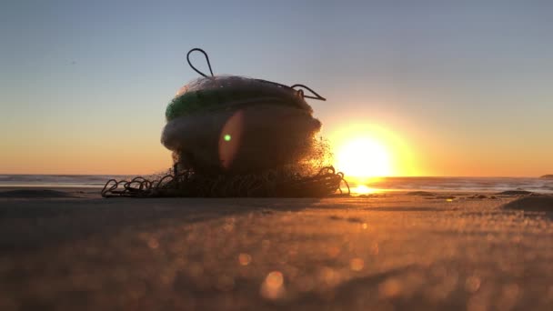 Schot Van Visnet Aan Kust Zon Opkomen Achtergrond — Stockvideo