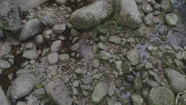 카메라의 움직임 내부의 강에서 바위들 — 비디오