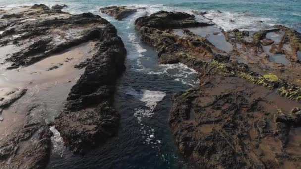 Lenta Inclinazione Rivela Rilassante Flusso Delle Piscine Maree Sulla Riva — Video Stock