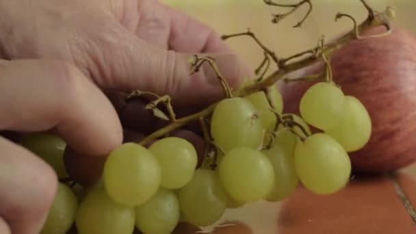 Ручной Сбор Винограда Яблоком Крупным Планом — стоковое видео