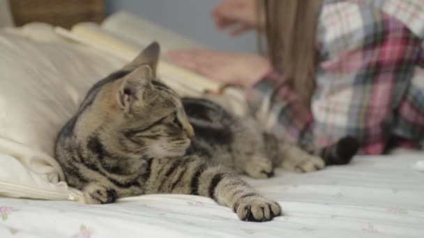 Mujer Leyendo Libro Cama Como Gato Camina Wide Shot — Vídeos de Stock