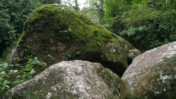 Revealing Beautiful River Rainforest Big Rock Dolly Camera Movement — 图库视频影像