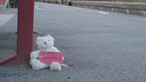 Teddy Left Train Platform Train Rushes Wide Shot — Vídeos de Stock