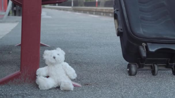 Teddy Lost Property Tag Left Train Platform Commuter Goes Suitcase — Wideo stockowe