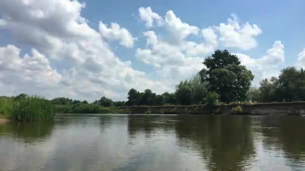 Laps Temps Des Nuages Rivière Warta Déplacent Végétation Sauvage Rapide — Video