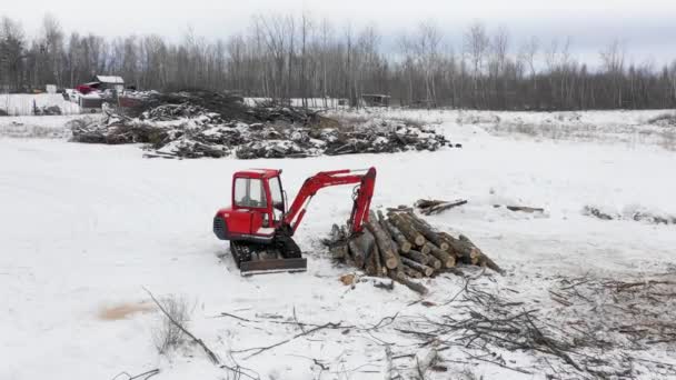 Mini Backhoe Tractor Log Pile Winter Time Deforestation — Stok video